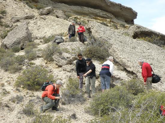 Bordes de Patagonia, turismo en una estancia a orillas del mar.-马德林港必去景点
