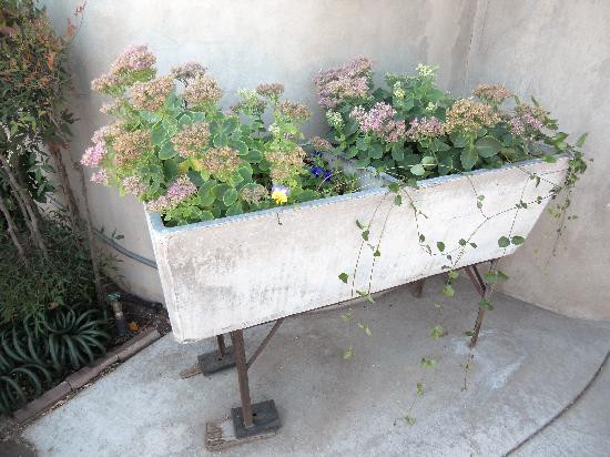 Rogue Creamery-Central Point必去景点