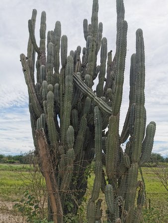 Naventura-Paicol必去景点