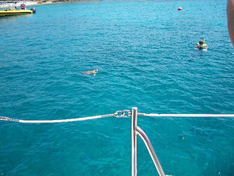 Fury Charters-夏洛特阿马利亚必去景点