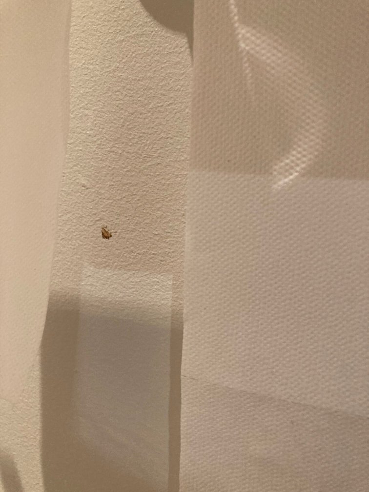 宜必思尚品南锡中心火车站酒店-官方