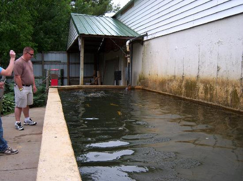 Beaver Springs Fishing Park-威斯康星峡谷必去景点