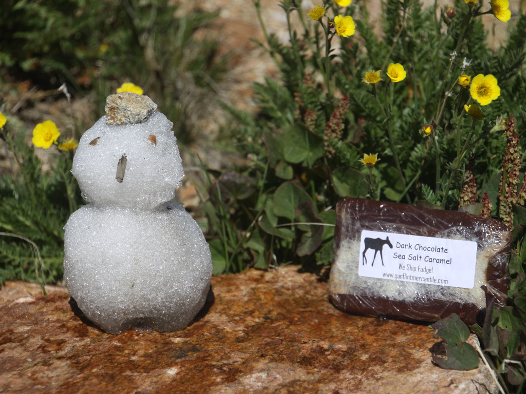 Gunflint Mercantile-大马雷必去景点