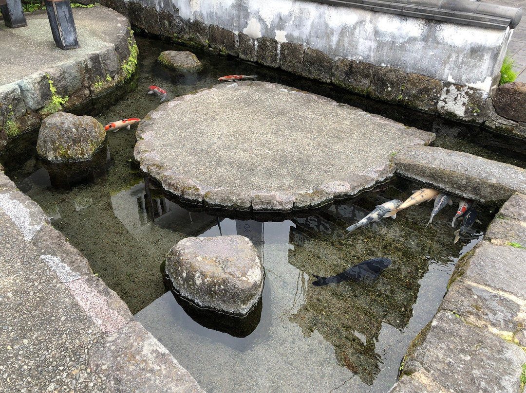 The Town of Swimming Carp-岛原市必去景点
