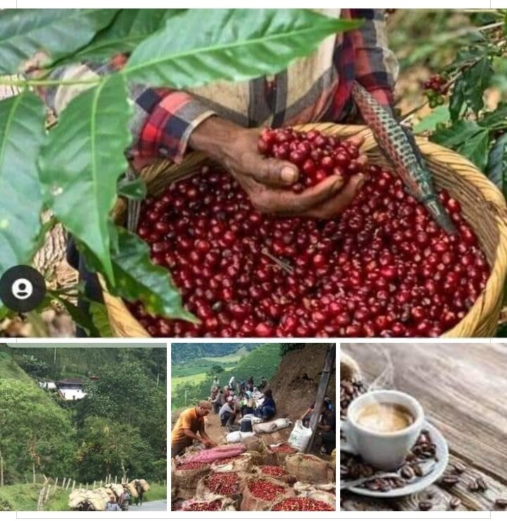 El Café De Nuestra Tierra