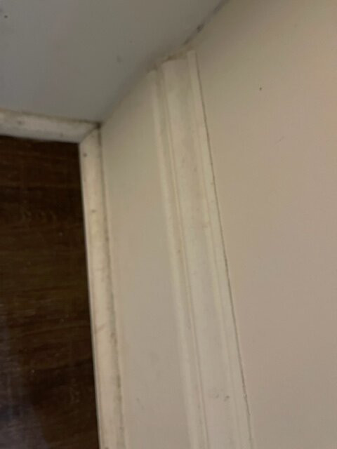 Forrest Hills Resort主图