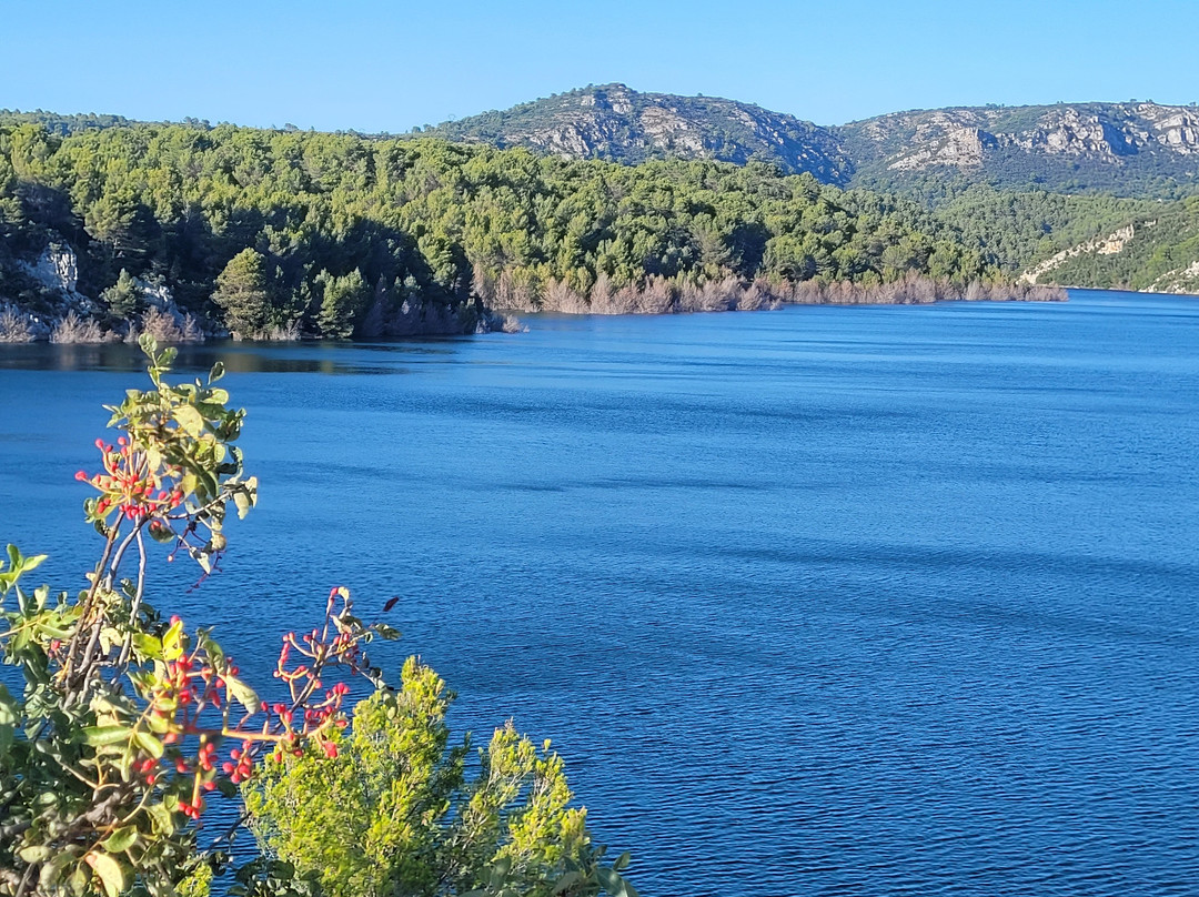 Lac du Bimont景点图片
