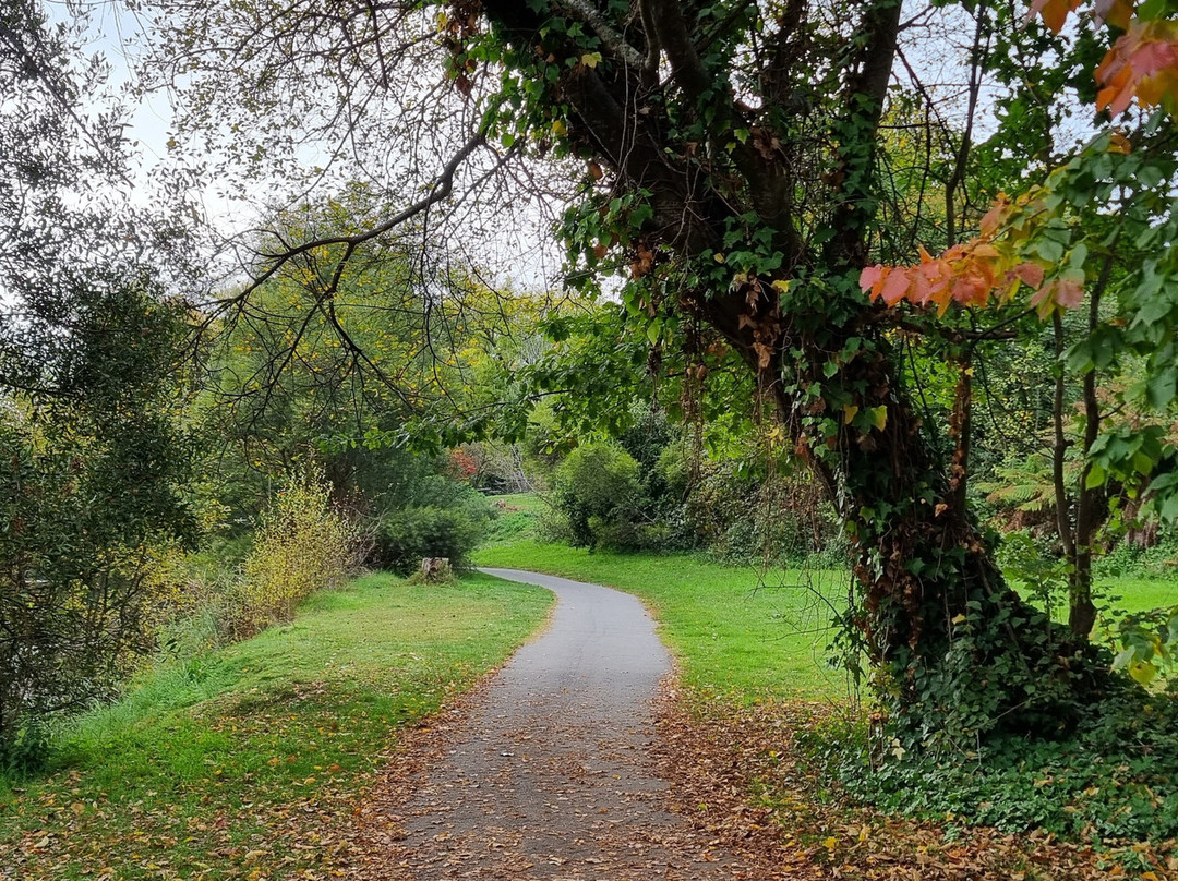 Canyon Walk-布赖特必去景点