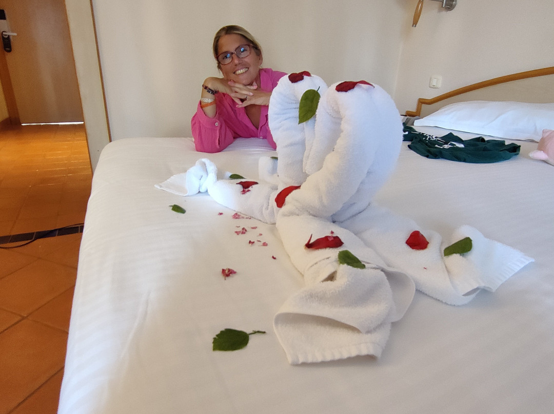 伊波罗之星贝利塞尔酒店主图