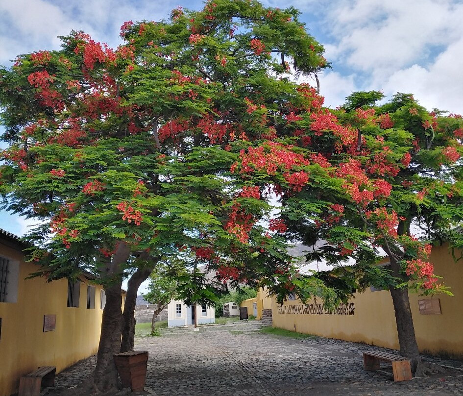 Camp De Concentration Du Tarrafal-Chao Bom必去景点