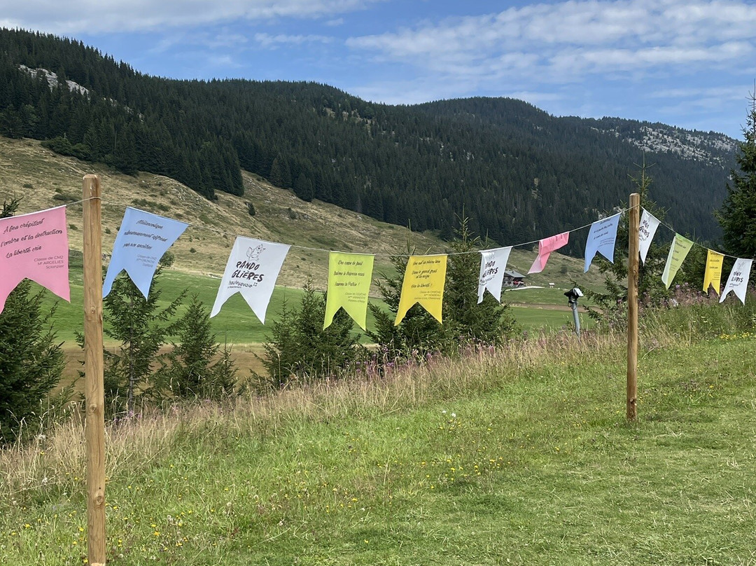 Plateau des Glieres景点图片