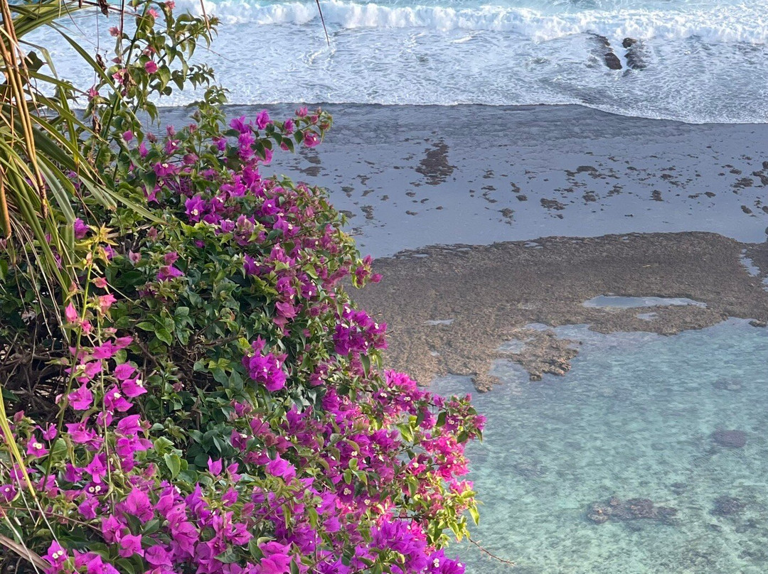 Roy Bali Activities-库塔必去景点