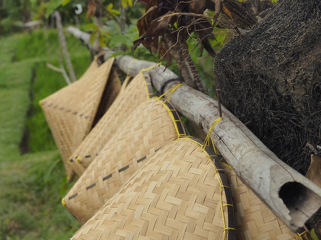 Bali Rupa景点图片