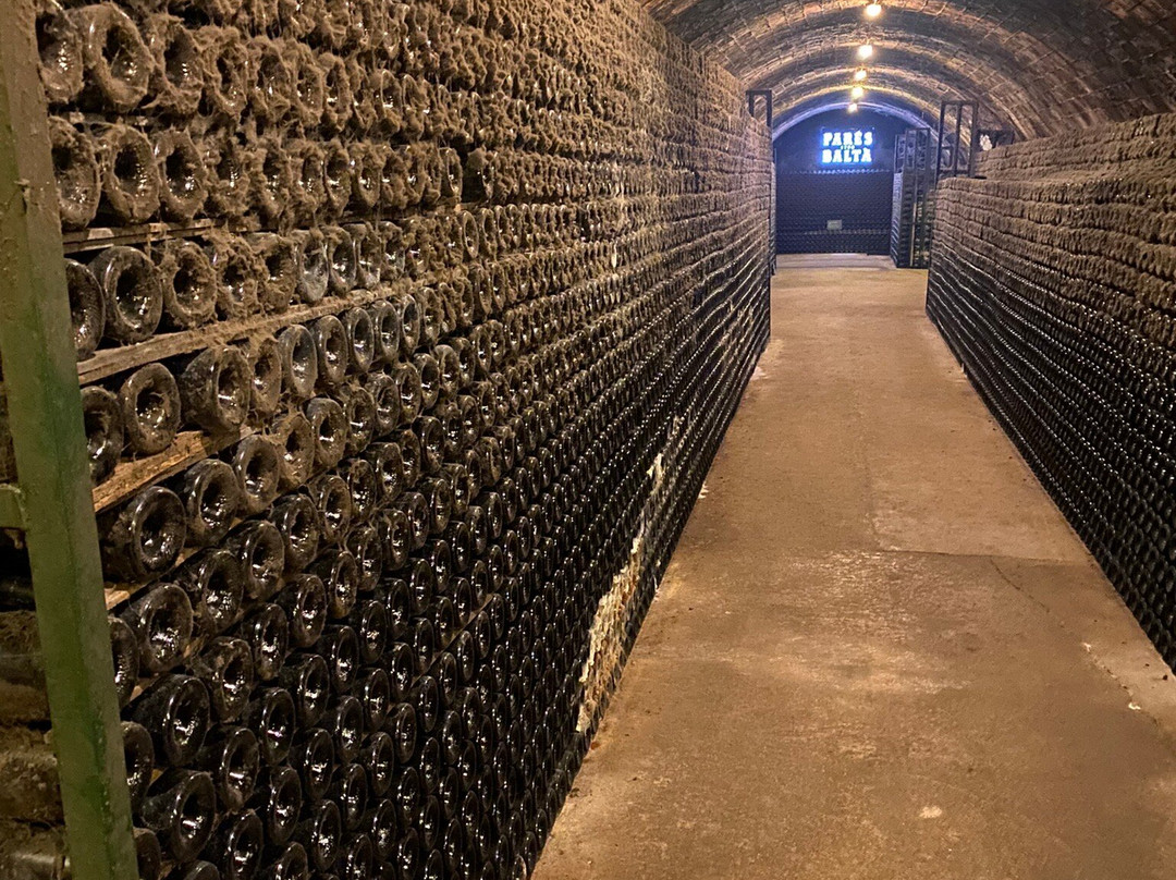 Transfers Soberti-巴塞罗那必去景点