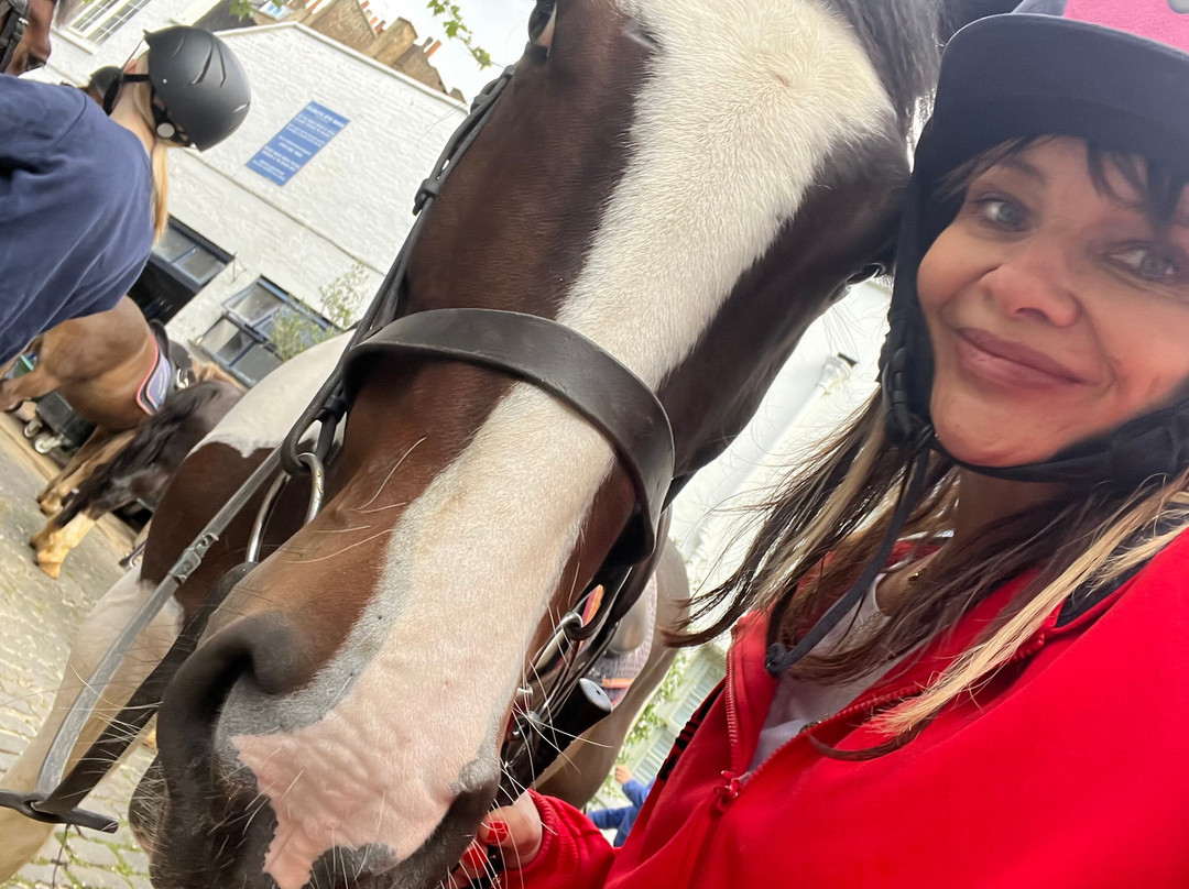 Ross Nye Stables-伦敦必去景点