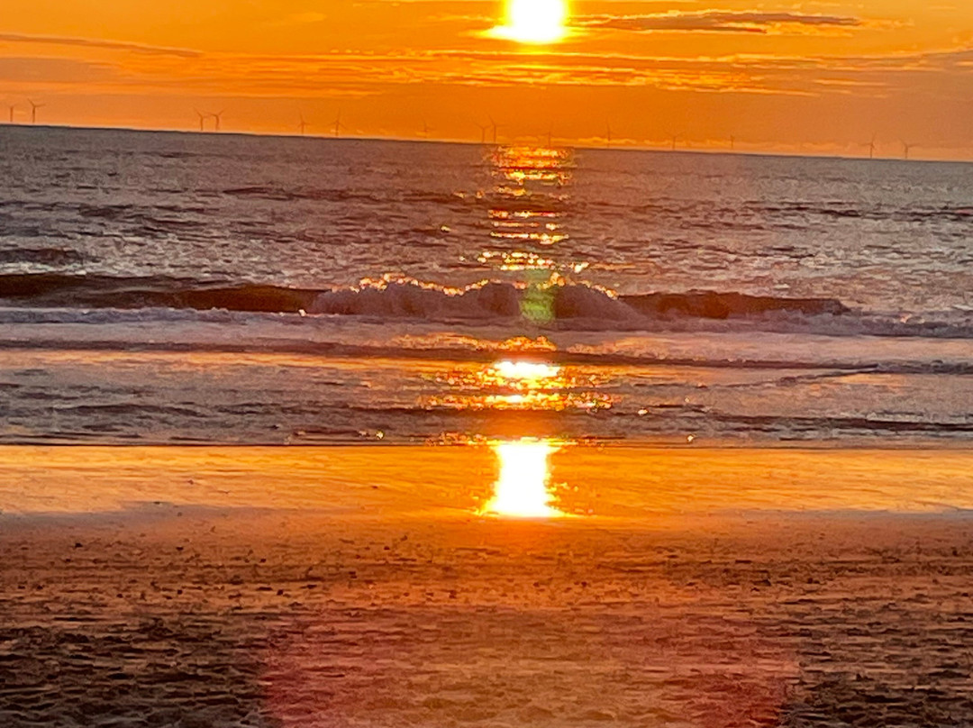 Strand Egmond aan Zee景点图片