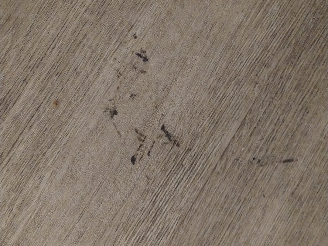 兰巴顿豪生酒店主图