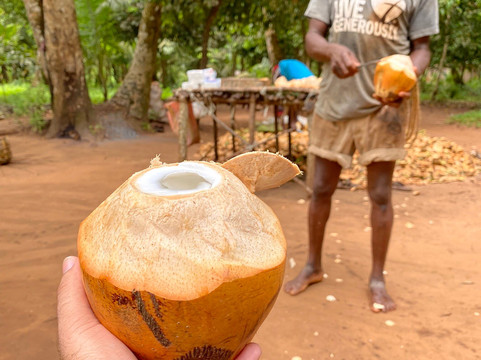 LD Tours & Safaris-桑给巴尔市必去景点