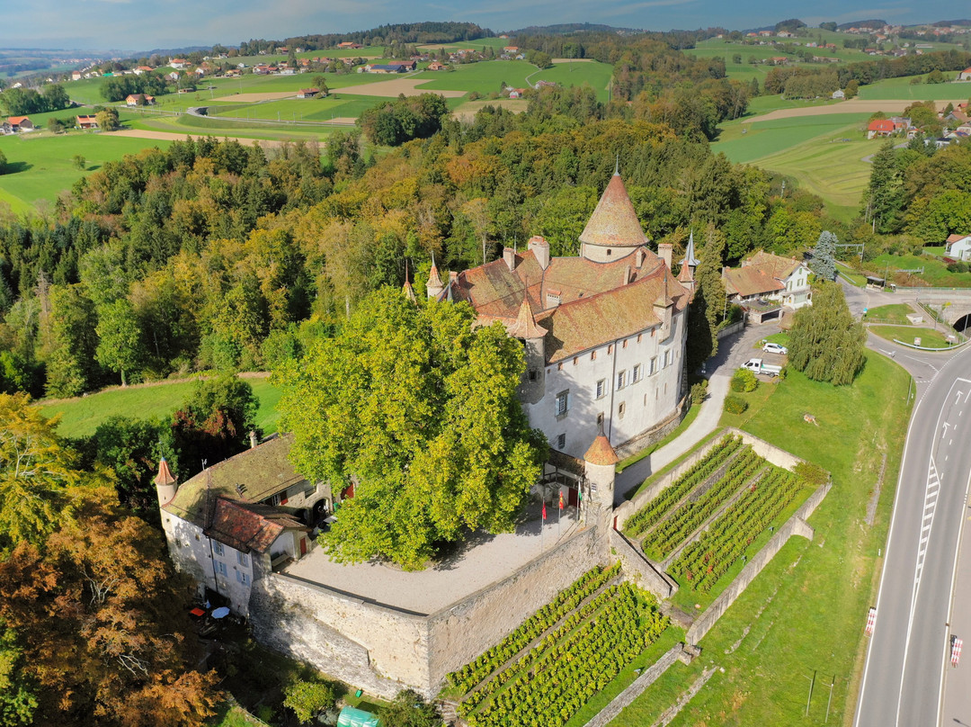 Chateau d’Oron景点图片
