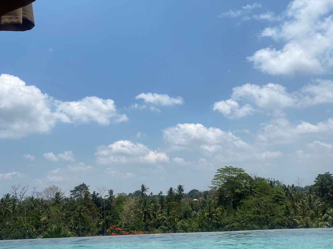 Bisma Valley