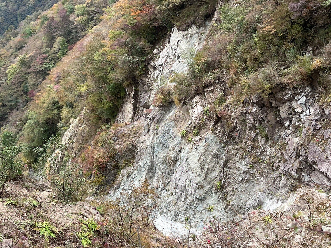 Mt. Tonotake-秦野市必去景点