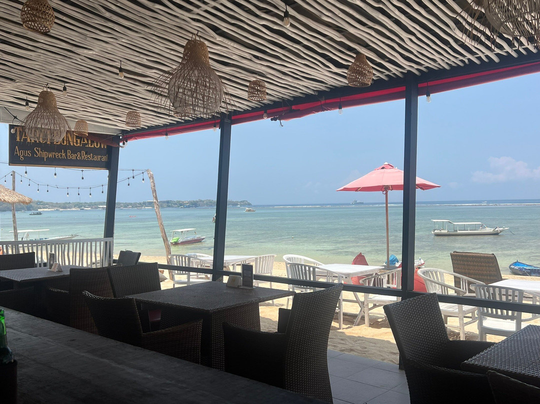 塔尔奇平房主图