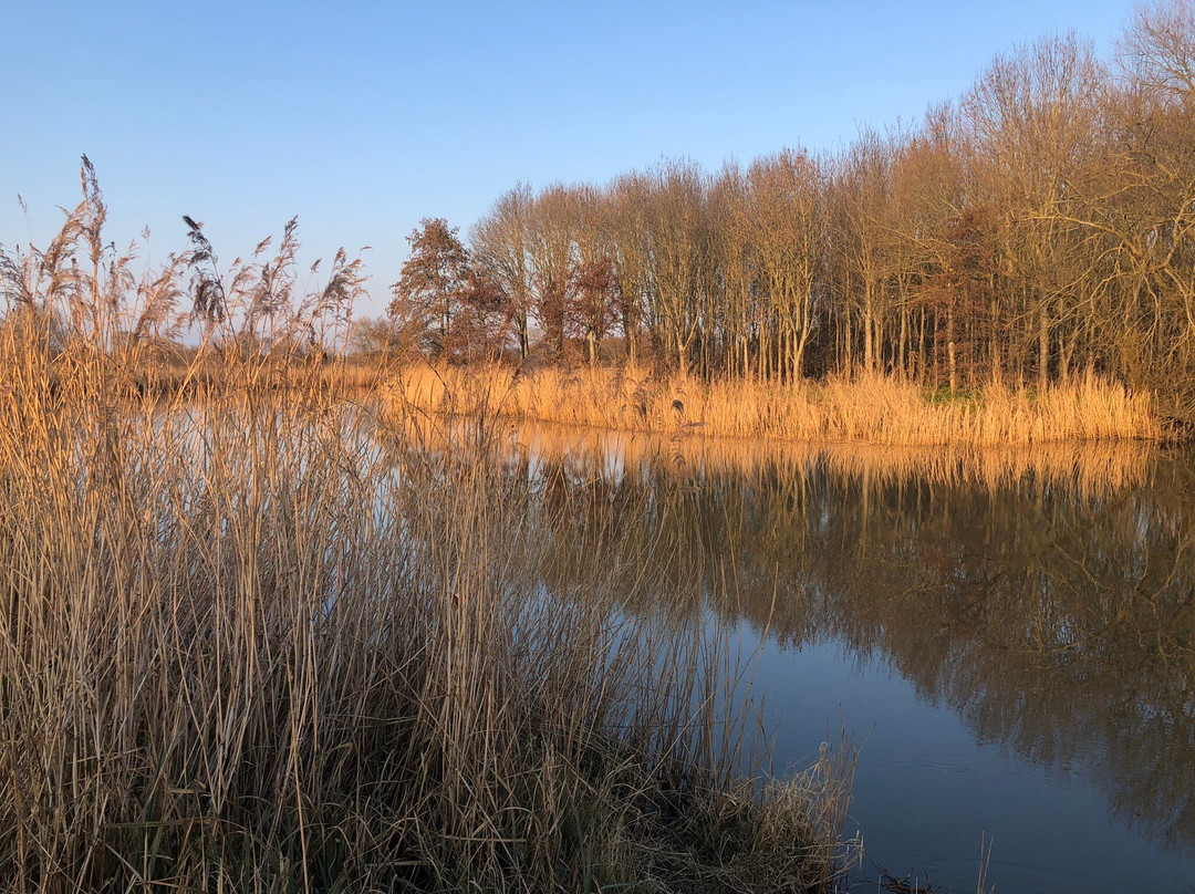 Avon Meadows Community Wetland景点图片
