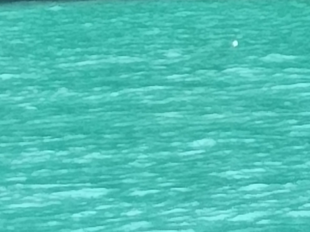 Praia Ilha do Pelado-帕拉地必去景点