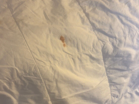 Margaritaville Resort Casino Bossier City主图