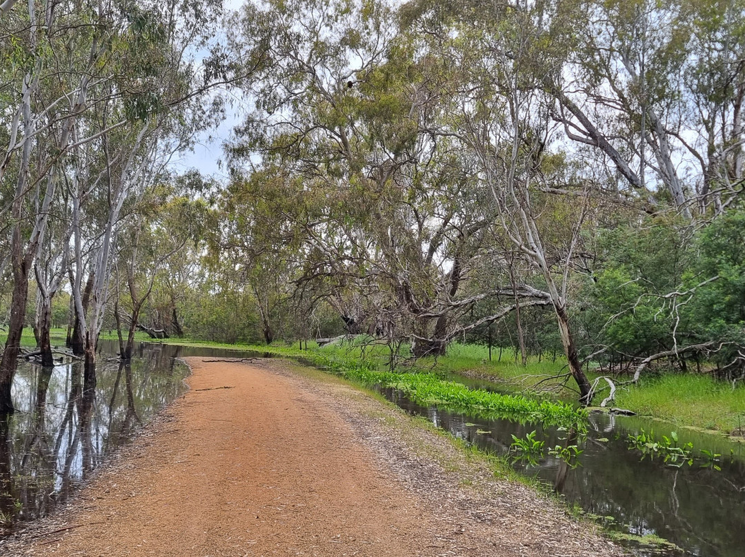 Kinnairds Wetland-Numurkah必去景点