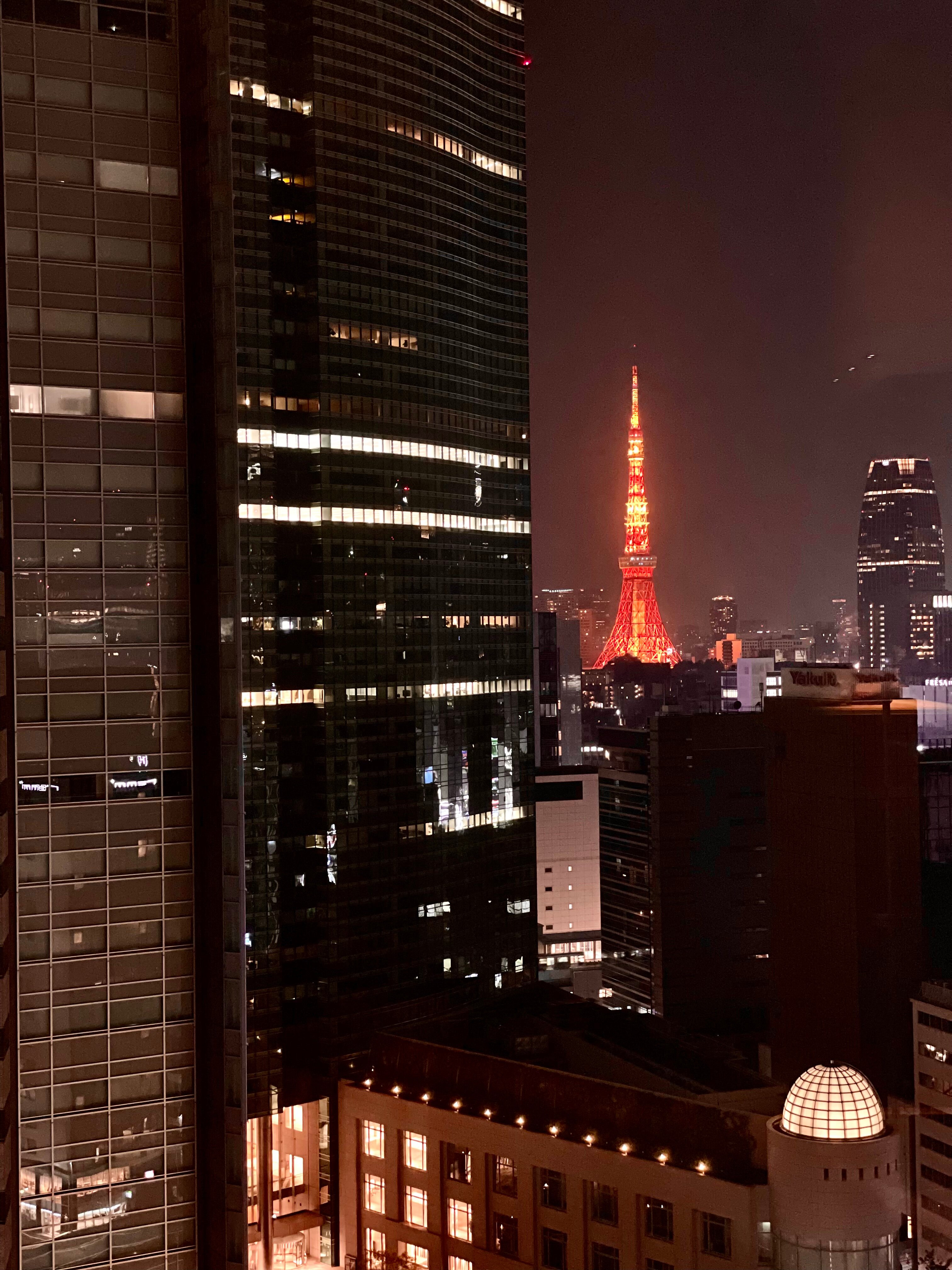 银座三井花园酒店-酒店景观