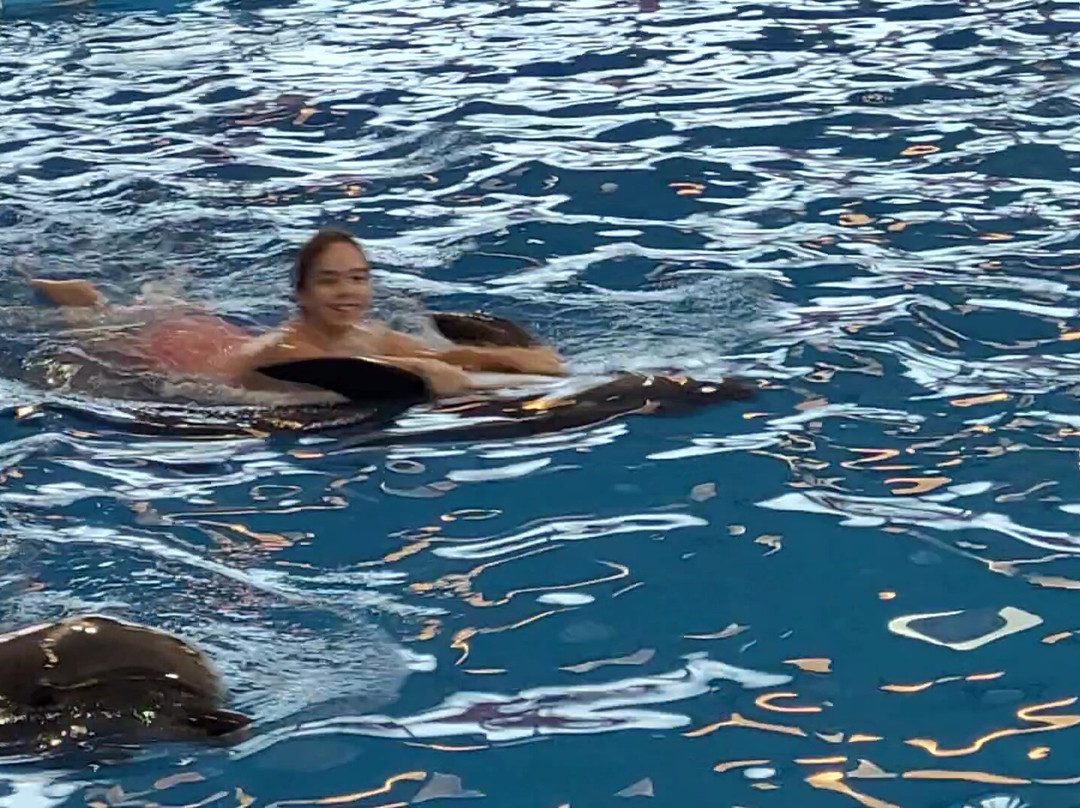 Minsk Dolphinarium Nemo-明斯克必去景点