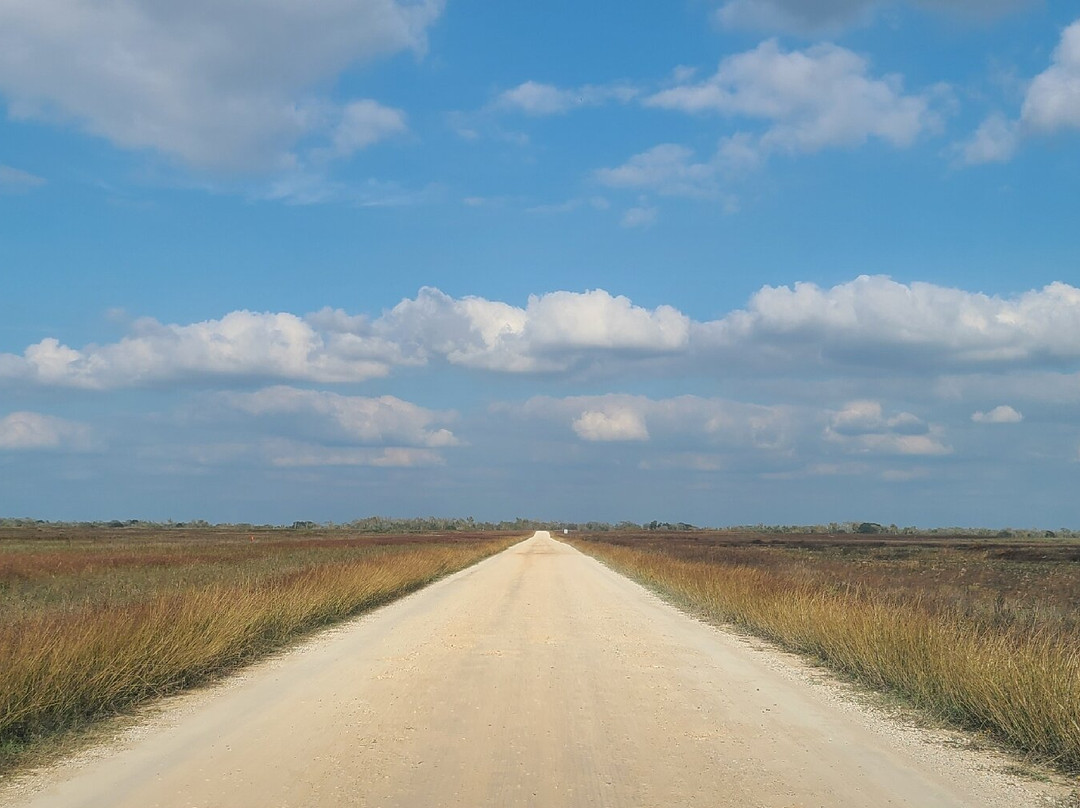 Attwater Prairie Chicken National Wildlife Refuge景点图片