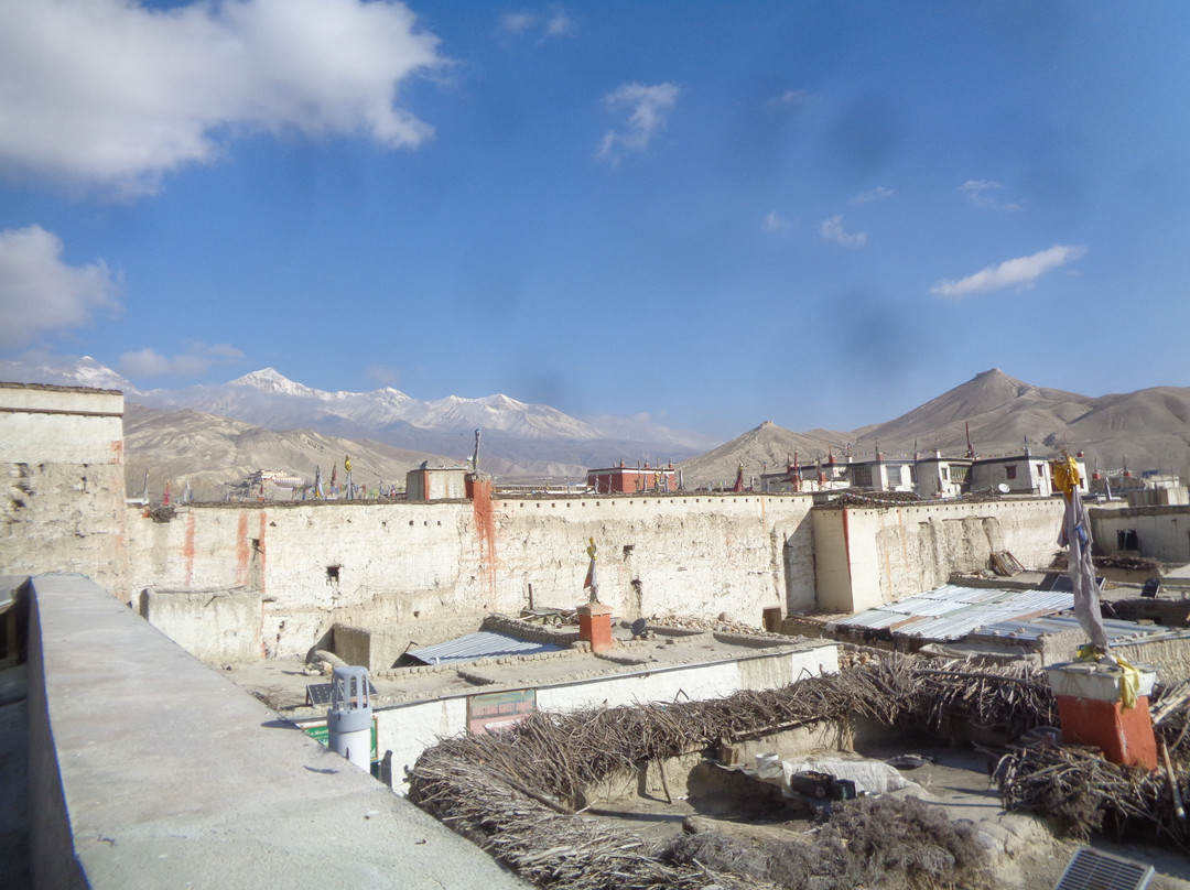 Lotus Holiday Inn主图