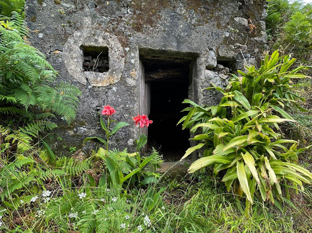 Heartbeat Madeira-马德拉群岛必去景点