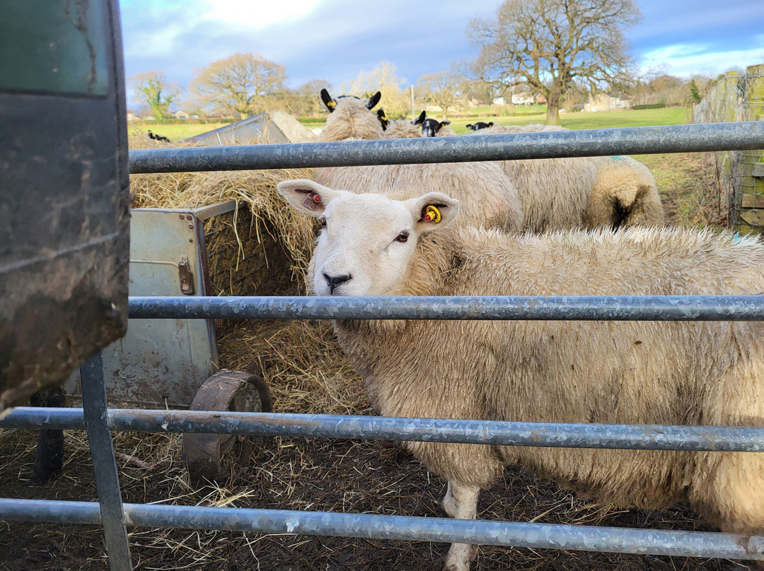 Holme Grange Farm主图