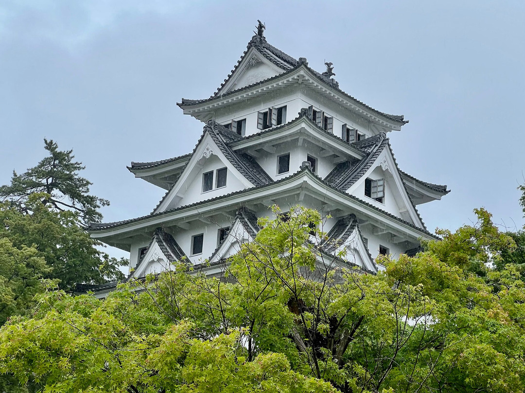 Gujo Hachiman Castle-郡上市必去景点