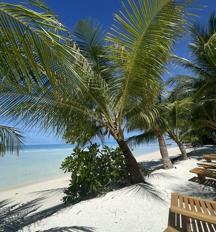 Araamu Holidays & Spa主图