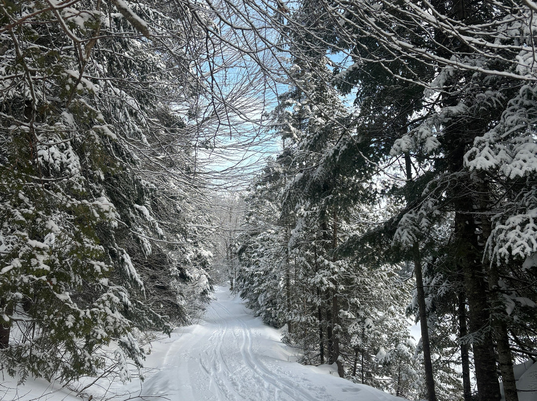 Parc Régional de Val-David Val-Morin-Val Morin必去景点