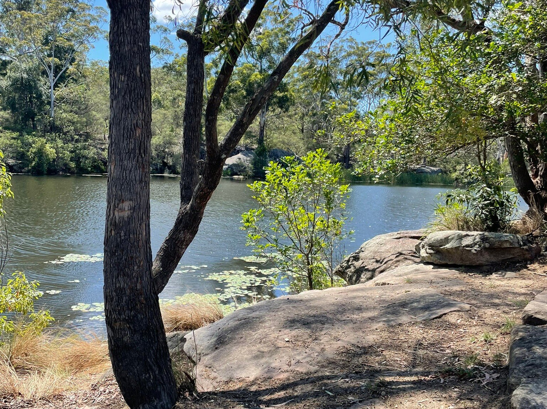 Lake Parramatta Reserve景点图片
