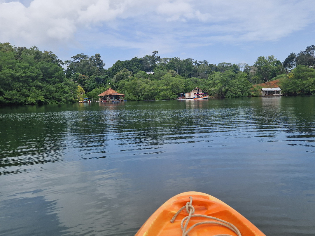 Dolphin Bay Hideaway主图