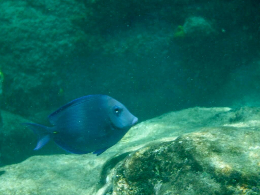 Galleon Beach-英吉利海港必去景点