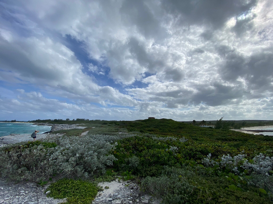 North Point-San Salvador必去景点