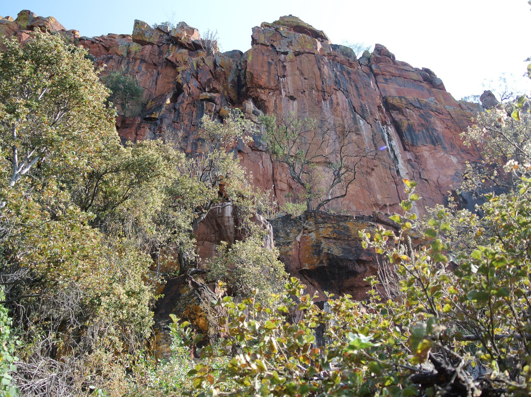Waterberg National Park-奥奇瓦龙戈必去景点