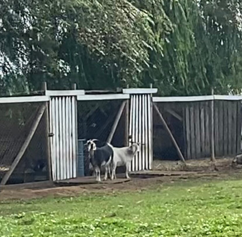 Granja Museo Dona Rita-奇廉必去景点