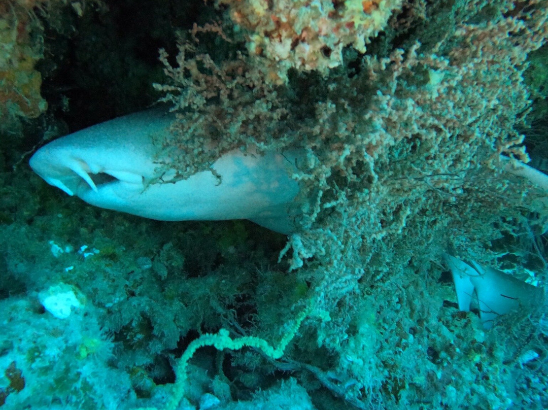 Dive Butler Amilla-芭环礁必去景点