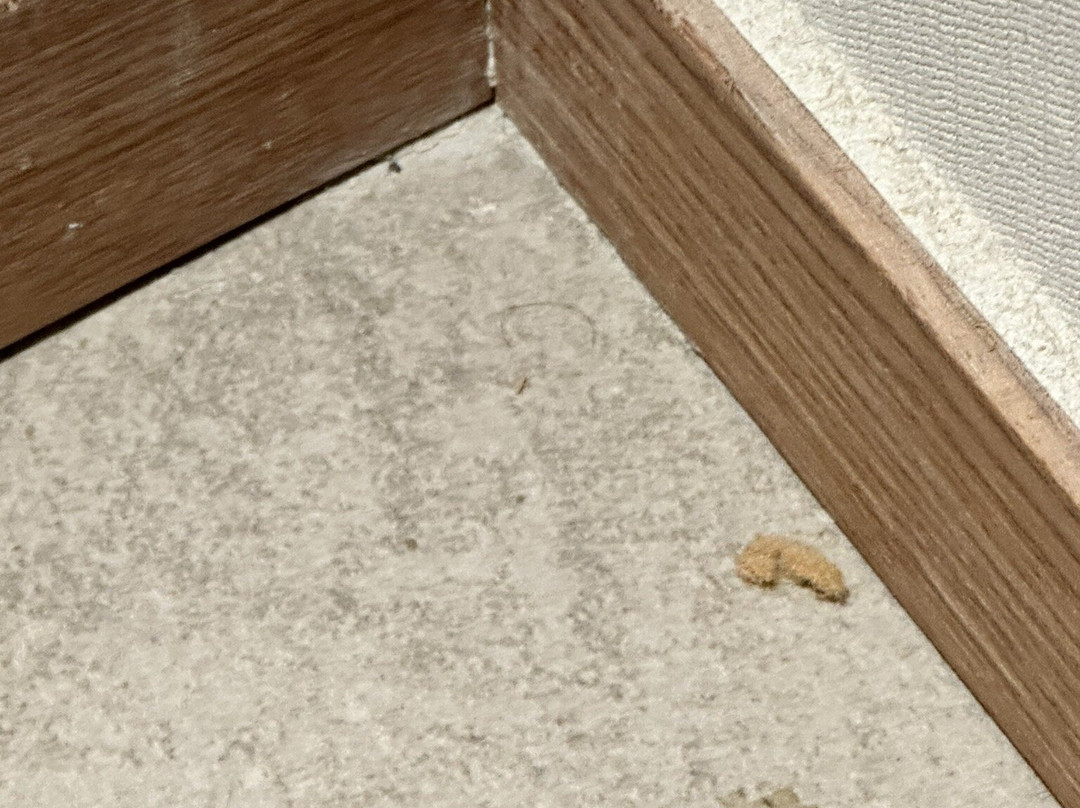 Staz Hotel Premier Dongtan主图