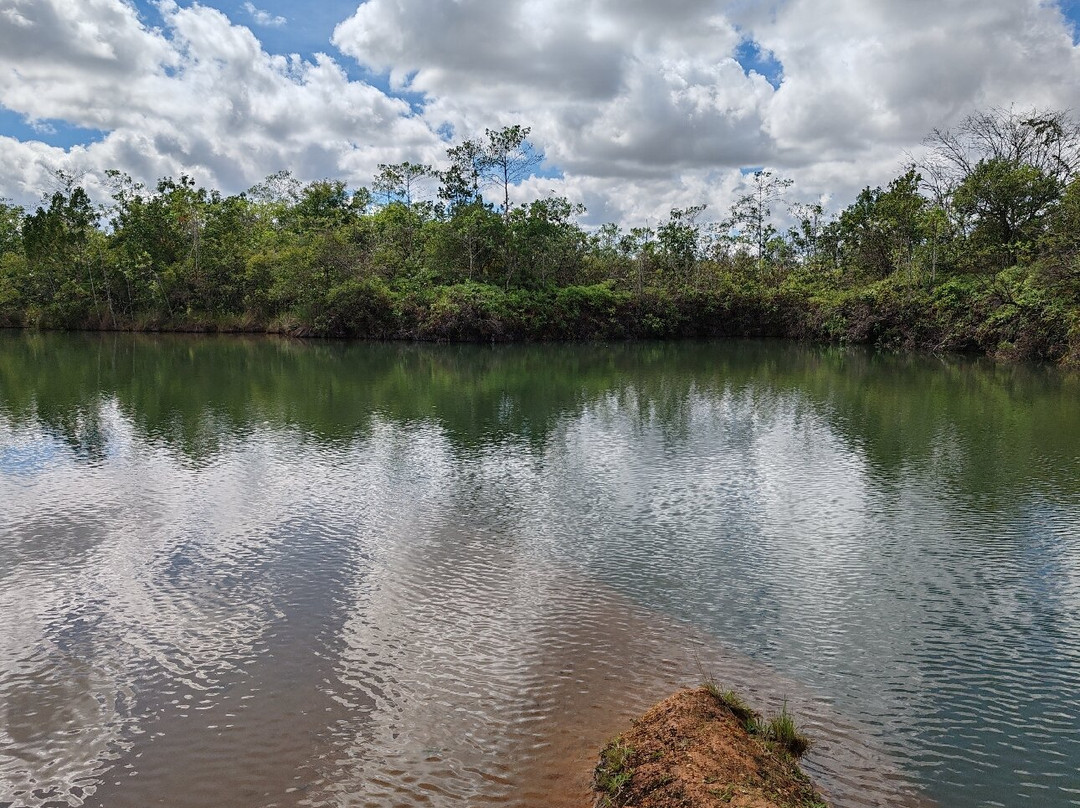 巴西利亚国家公园 (Agua Mineral)景点图片