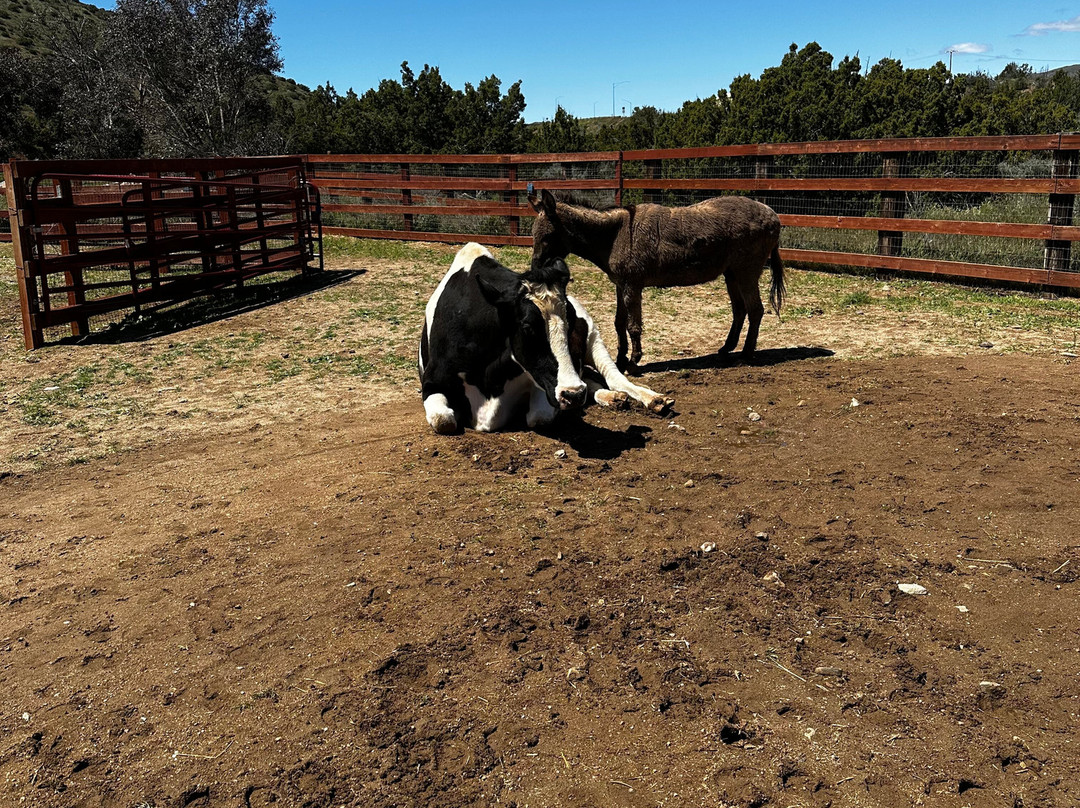 Farm Sanctuary景点图片