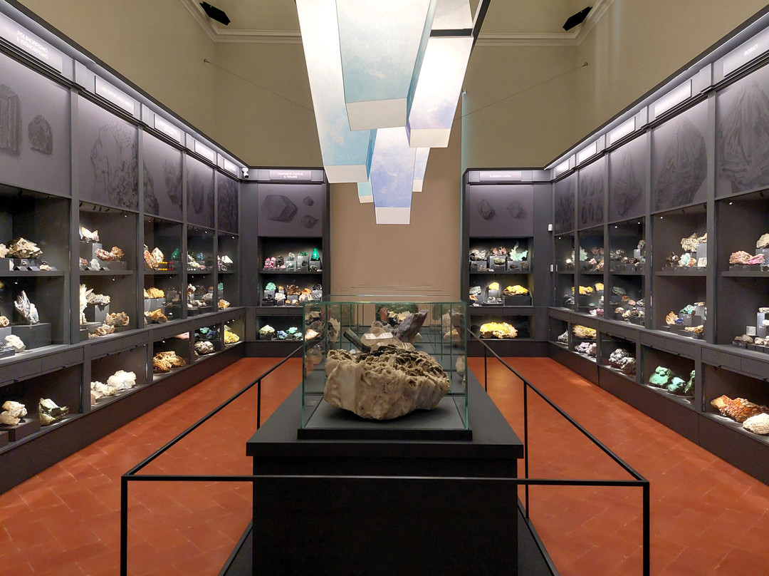 Museo di Storia Naturale - La Specola景点图片